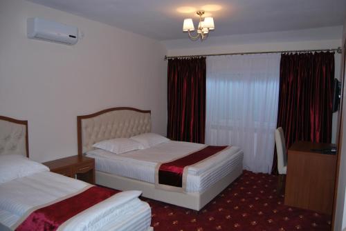 Hostel Paltinis (Hunedoara) 