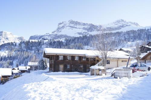 Bärghuus Axalp (Axalp) 